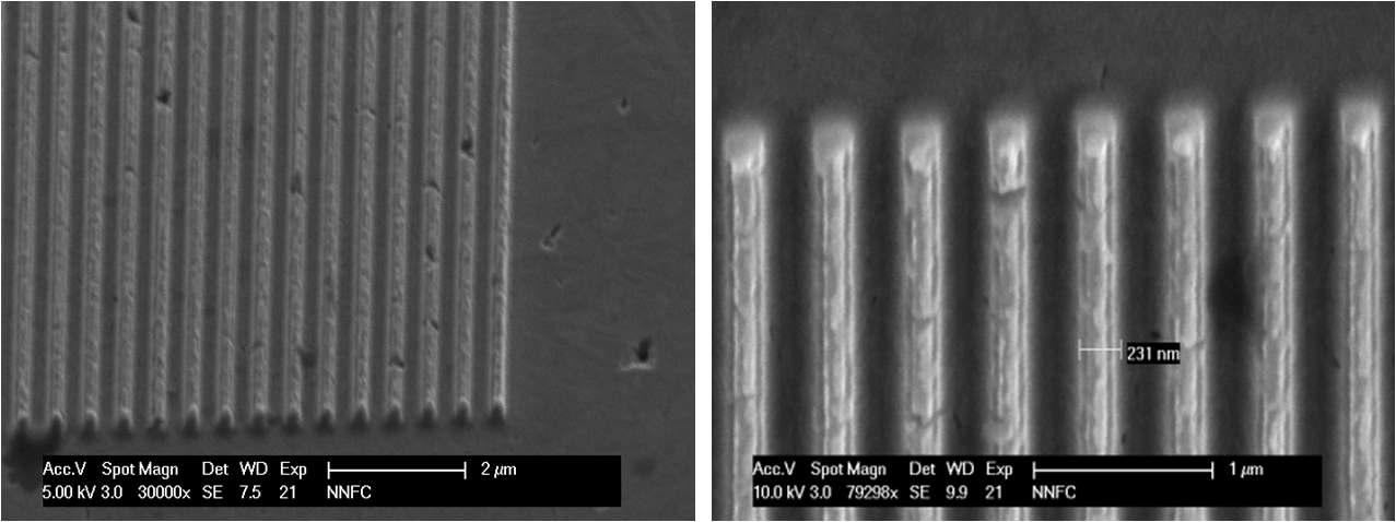 Ni replica mold의 250nm급 패턴의 SEM 이미지