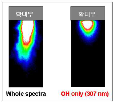 전체 spectrum vs OH radical