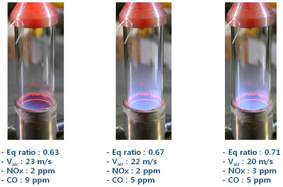 labscale 버너 가시화 및 연소특성결과