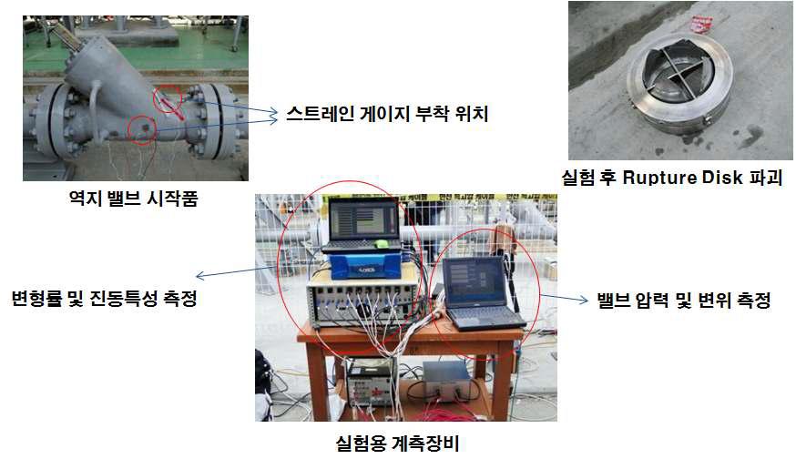 성능실험 수행