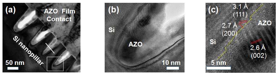 나노구조체 (Nanopillar)와 AZO층의 접합분석