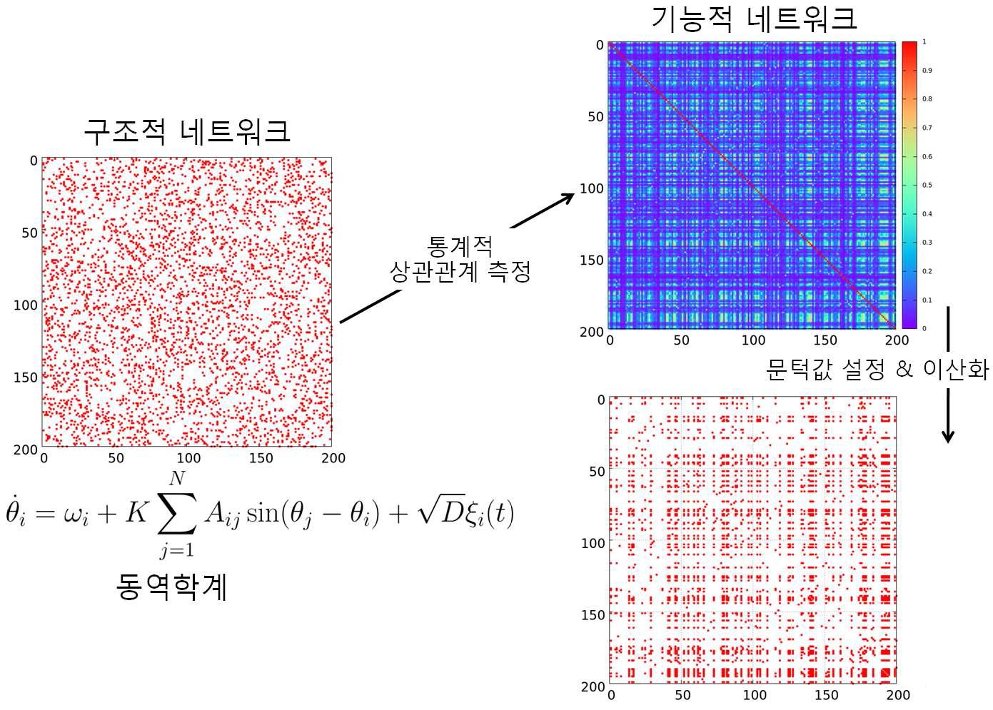 수치모델에서 기능적 네트워크 추출과정