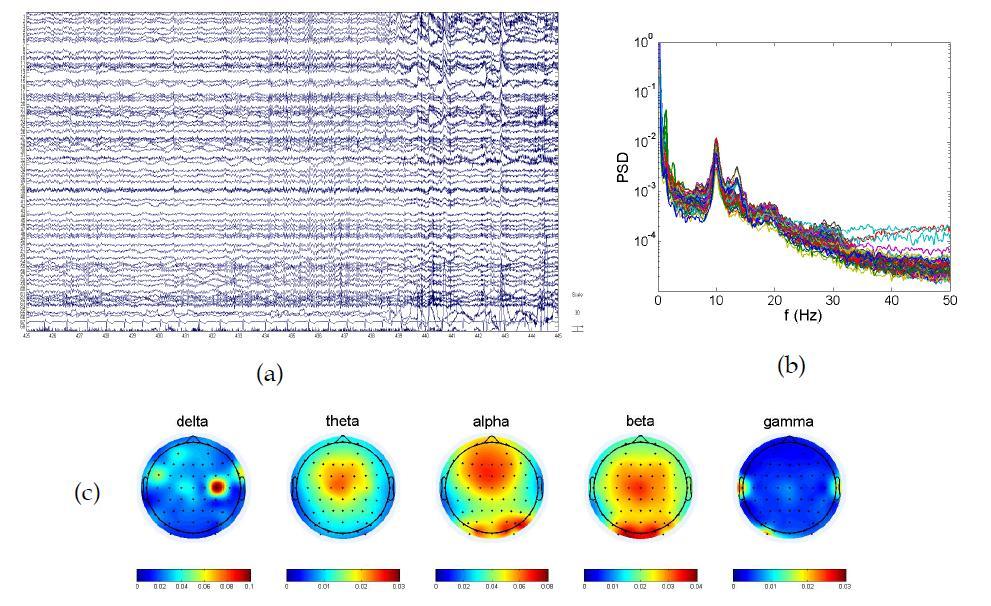 (a) resting state 뇌파, (b) 전 채널에서 측정된 뇌파의 파워스펙트럼, (c) 리 듬별 파워의 topoplot.