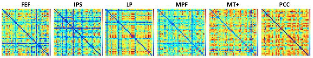 Inter-subject correlation 분석 결과: 왼쪽부터 FEF, IPS, LP, MPF, MT+, PCC를 seed영역으로 했을 때의 connectivity결과에 대해서 각각의 사람간의 상관성을 분석함.