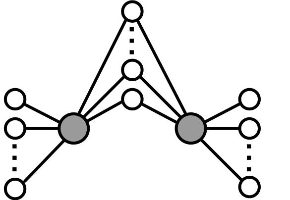 A schematic diagram of a complex network with heterogeneous connectivity