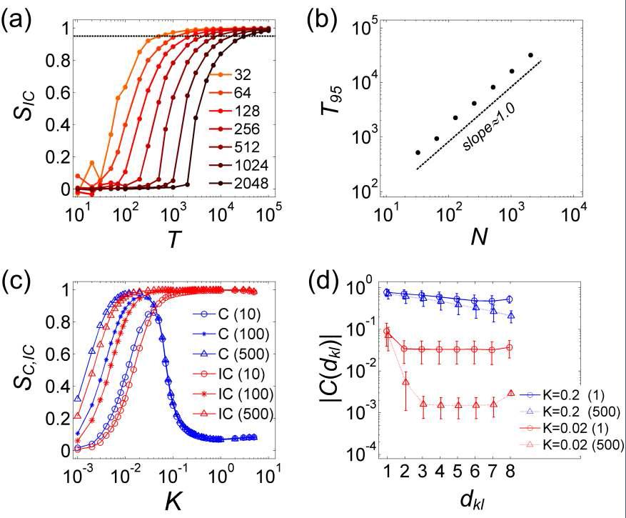 (a) Dependence of the optimal length of time series on the network size. (b) Plot of the optimal size versus the network size N. The optimal size increases linearly with the network size N. (c) Dependence of the similarity SIC and SC on the number of ensembles. With increase of ensemble, the similarity plots move left. So, even for very weak coupling strength, a sufficiently big enough number of ensembles could reveal the network strengths. (d) The dependence of the phase synchronization indexes versus the distance between nodes for K=0.02 and 0.2, and number of ensembles is 1 and 500. The error bars mean standard deviation of C(dkl)