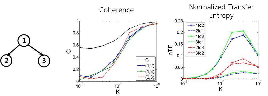 1번 노드가 2번 및 3번에 영향을 주는 네트워크(a)에서 결합세기를 증가 시키면서 측정된 신호로부터 계산된 coherence 값 (b) 및 NTE 값 (c).