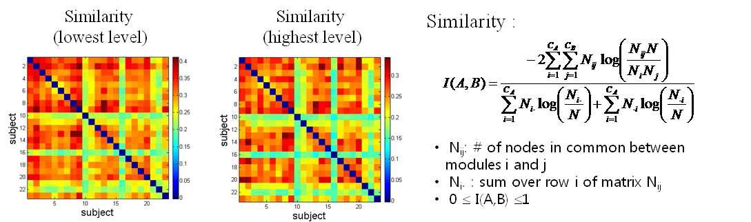 피험자 개인별 모듈 구조 유사도