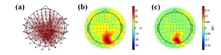 작업기억 유지기간(2-4초) 동안 통계적으로 유 의미하게 증가한 기능적 연결쌍들을 이용하여 재구성한 네트워크 특성. (a) 작업기억 유지에 관여하는 기능적 네 트워크. (b) node degree의 두피상 분포. (c) betweenness centrality의 두피상 분포.