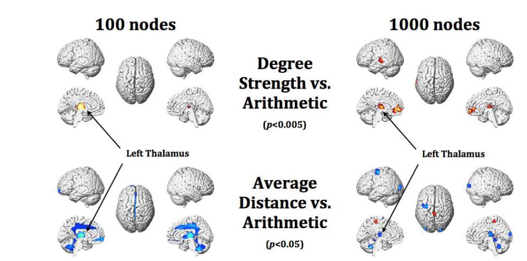 산술능력(arithmetic)과 degree strength 및 average distance와의 상 관성분석 결과. 유의미한 양(음)의 상관성은 붉은색(파란색) 계열로 mapping되 어 있다. 왼쪽 그림은 100개 노드에 대한 분석 결과이고, 오른쪽 그림은 1000 개 노드에 대한 분석 결과이다.