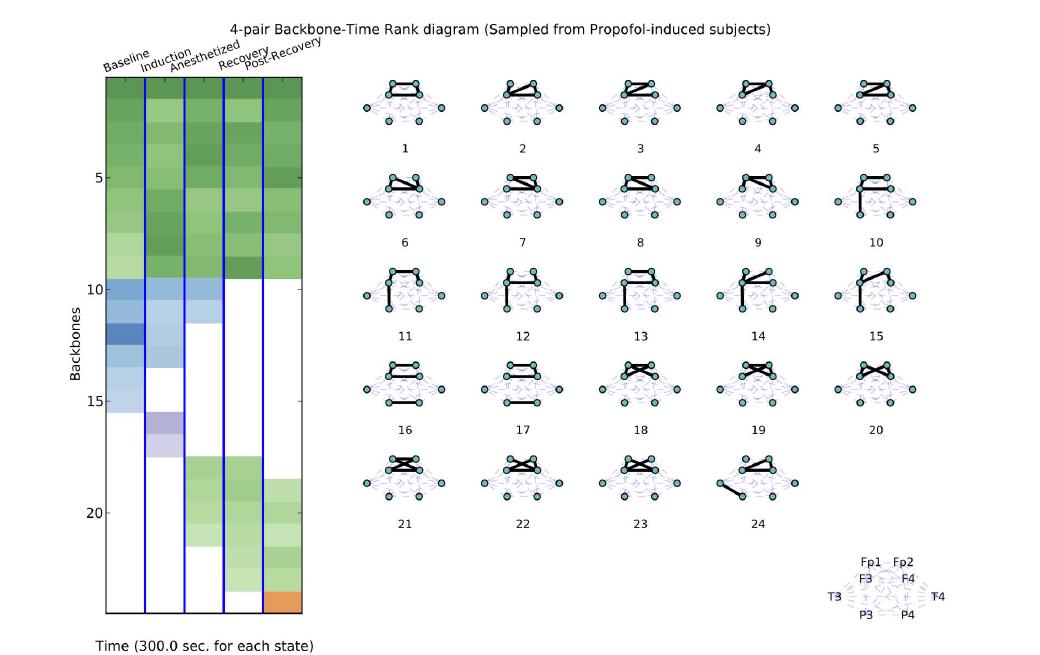 프로포폴로 마취한 환자 그룹의 백본-시간 랭크 다이어그램. (9명의 환자에서 추출함) 마 취 과정 중 더 많은 과정에서 나타나는 순으로 재정렬하였음. 색이 진할수록 등장 확률의 랭크가 높은 백본임. 기능에 따라 색으로 자동 분류하였다. 녹색은 전전두엽-전두엽간 연결, 파란색 그룹은 (전)전두엽-두정엽간 연결, 보라색은 양반구간 연결, 오렌지색은 측두엽-두정엽간 연결이 다수 존재 하는 경우.