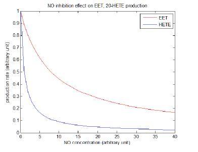 NO 농도의 변화 에 따른 EET와 20-HETE 변화