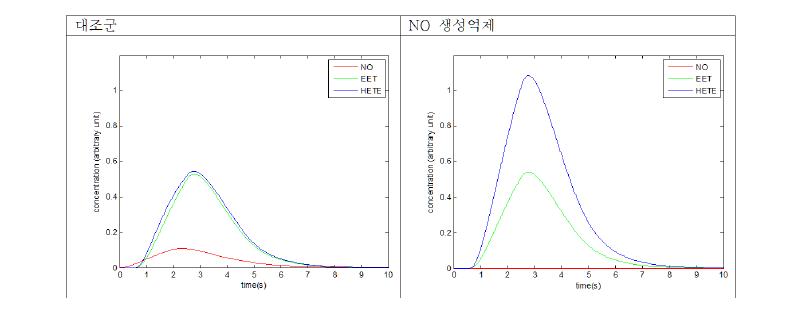 NO 생성 차이에 따른 EET와 20-HETE 생성 차이