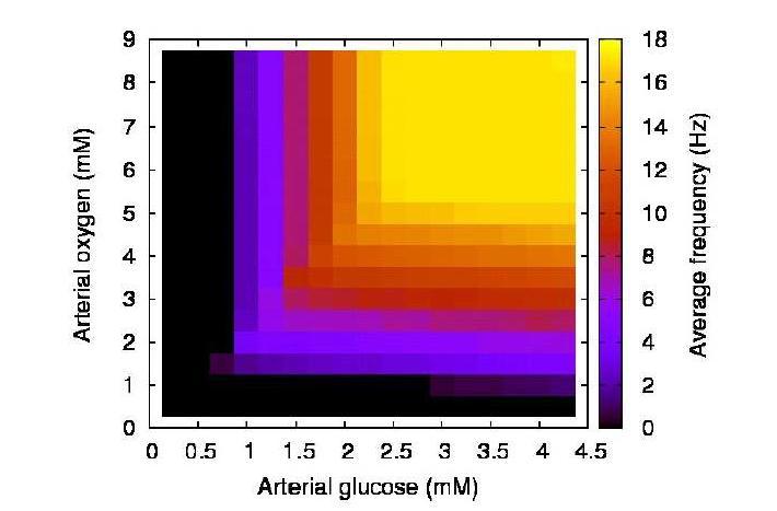 공급되는 glucose와 oxygen의 변화 따 른 뉴런활동의 heat map. 뉴런 활동의 값은 membrane potential의 spiking의 평균 주파수로 계산하였다. 전류자극은 2mA/cm2 로 하였다.