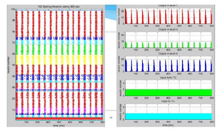 Add spiking-timing-dependent plasticity