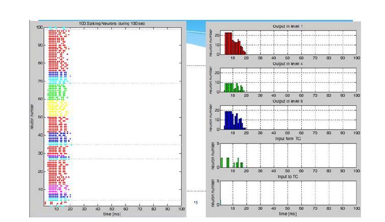 Impulse response with STDP & STSP