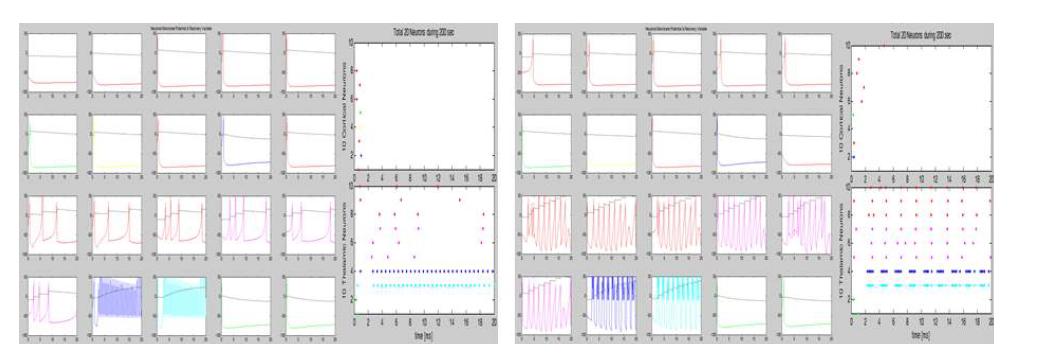 The results of cortical and thalamic neurons according to different inputs