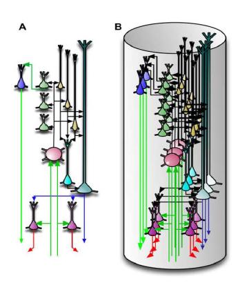 미니컬럼의 구성 (A)는 단일 피질 컬럼의 이 상적인 모습을 보여주고 있 으며, 생물학적인 미니컬럼 에 대응되는 구조를 나타낸 다. (B)는 (A)에 나타난 미 니컬럼 구조의 반복된 형태 로 실제 상호작용하며 동작 하는 구성을 나타낸다. [Hawkins:2009]