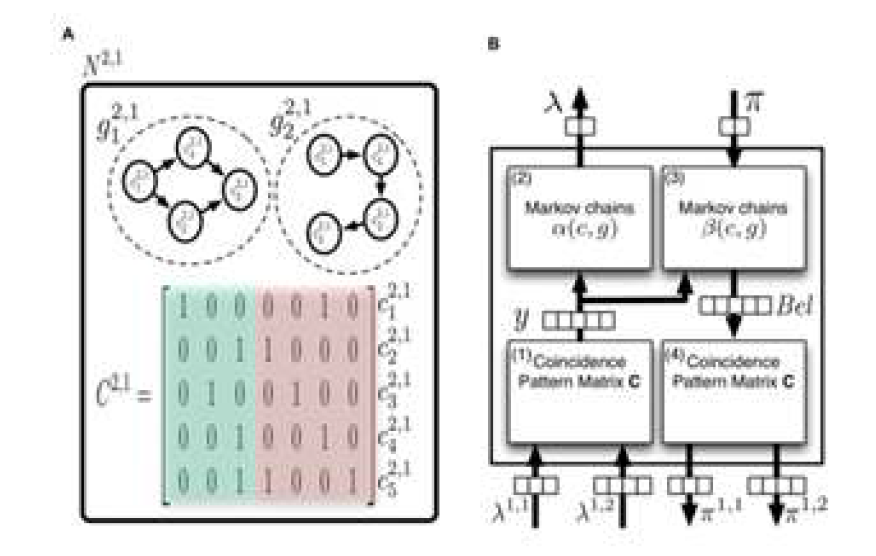 (A) 시공간 패턴은 마르코프 그래프(Markov graph)로 표 현 가능(매트릭스 C2,1) 하며, 이 그래프를 특정 확률분포로 그룹화 하여 g1 2,1, g2 2,1을 얻을 수 있다. (위첨자 2,1은 2번 계층 1번 미 니컬럼을 의미한다.) (B)는 Hierarchical Bayesian Network로 모델 링한 모습으로, Lambda는 하위 정보로부터 얻는 Likelihood을 바탕 으로 패턴을 그룹화하여 그룹 정보의 Likelihood를 상위 계층으로 올리고, 상위 계층에서 내려받은 Pi는 Prior로 현재 입력(y)에 대한 Prediction에 대한 믿음 정보 (Bel)로 재해석, 하위레벨에 Posterior 정보를 넘겨준다. [Hawkins:2009]