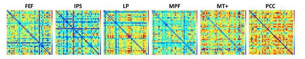 Inter-subject correlation 분석 결과: 왼쪽부터 FEF, IPS, LP, MPF, MT+, PCC를 seed영역으로 했을 때의 connectivity결과에 대해서 각각의 사람간 의 상관성을 분석함