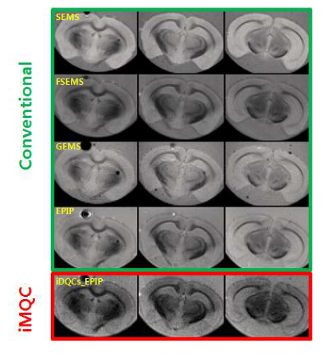 Mouse ex vivo 영상에서 의 iMQC 와 상용 MRI 영상방법 (Spin Echo, Gradient Echo) 비교
