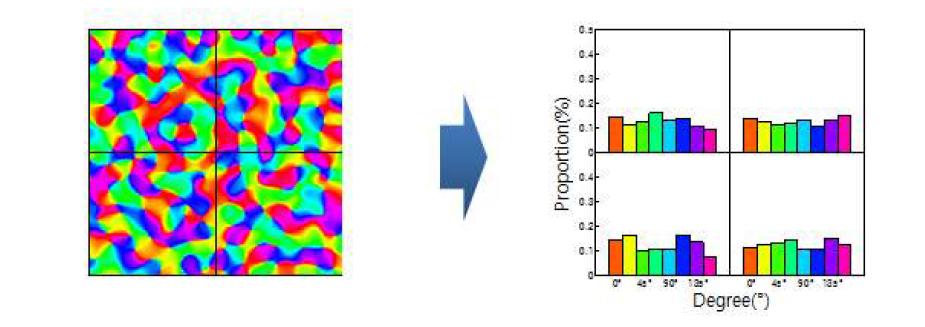 The distribution of orientation columns in each voxel