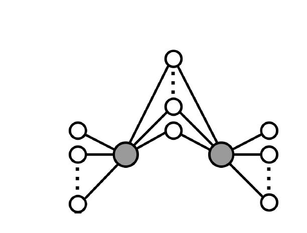 A schematic diagram of a complex network with heterogeneous connectivity. Two hub nodes at the center (filled gray