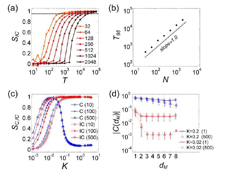 (a) Dependence of the optimal length of time series on the network size. (b) Plot of the optimal size versus the network size N. The optimal size increases linearly with the network size N. (c) Dependence of the similarity SIC and SC on the number of ensembles. With increase of ensemble, the similarity plots move left. So, even for very weak coupling strength, a sufficiently big enough number of ensembles could reveal the network strengths. (d) The dependence of the phase synchronization indexes versus the distance between nodes for K=0.02 and 0.2, and number of ensembles is 1 and 500. The error bars mean standard deviation of C(dkl)