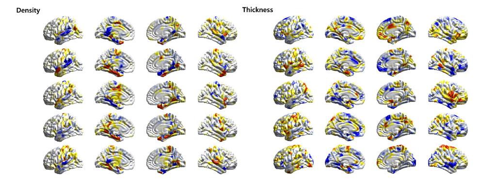 The five independent components of Density and Thickness maps. Both density and thickness components were acquired simultaneously.