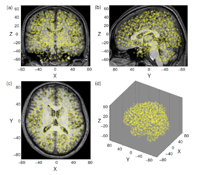 (a)-(c): 뇌 구조 영상에 겹쳐진 노드들의 위치(원으로 표시됨). 노드 들의 대표 위치는 노드에 속한 복셀들의 평균 위치임. (d) 3차원 공간상의 노드들의 위치.