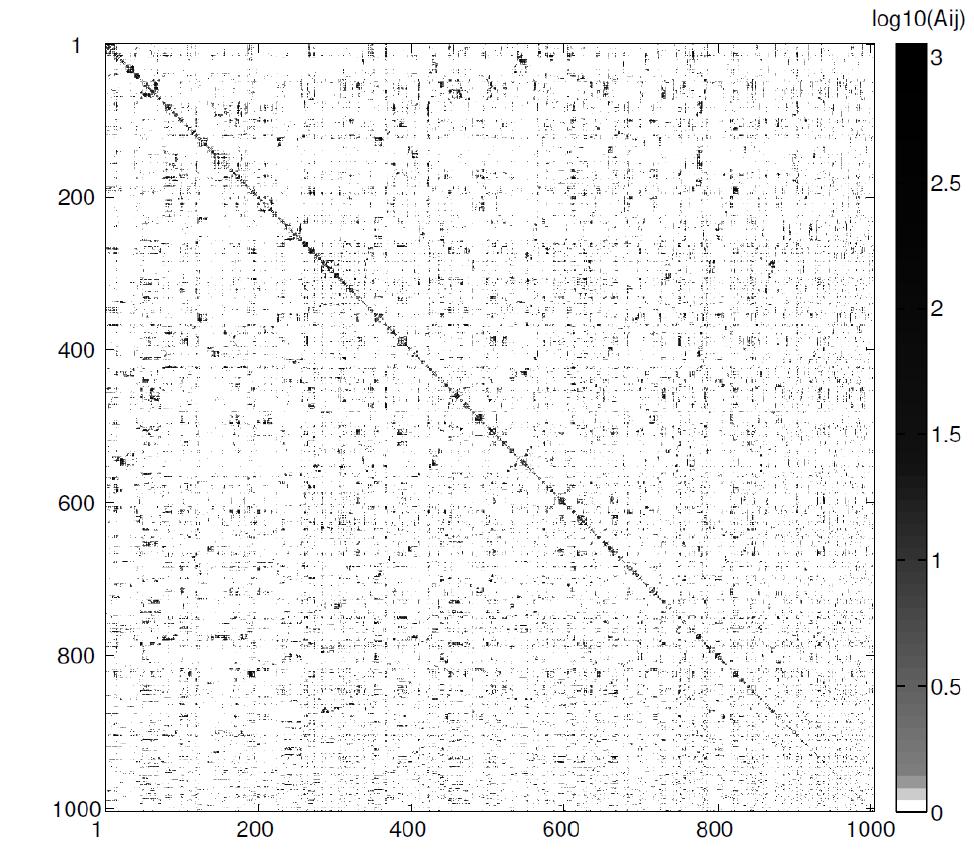 뇌 구조 네트워크를 나타내는 인접행렬(adjacency matrix)