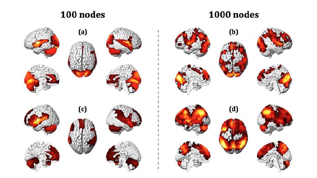 40명 피험자에 대한 weighted 기능 뇌 네트워크의 특성을 뇌에 mapping 결과 (유의수준 p50): 100개 노드로 구성된 뇌 네트워크에서의 degree strength (a) 및 average distance (c), 1000개 노드로 구성된 뇌 네트워크에서의 degree strength (b) 및 average distance (d). degree strength는 평균값보다 유의미하게 큰 영역을 표시한 것이고, average distance는 평균보다 유의미하게 짧은 영역을 표시한 것이다.