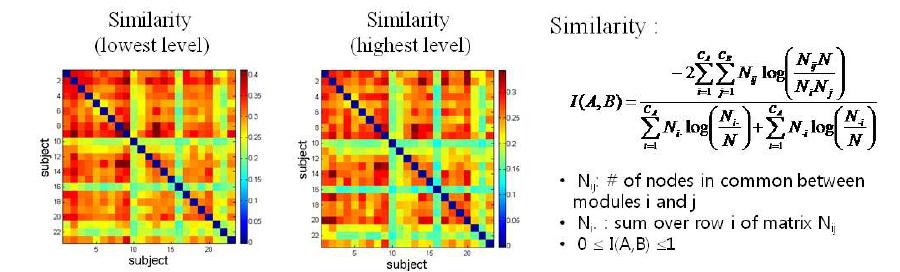 피험자 개인별 모듈 구조 유사도