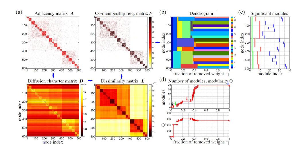 본 연구팀이 개발한 복잡계 네트워크에서 모듈을 찾아내는 다척도 앙상블 클러스터링 기법(MSEC)의 과정: 계층적 모듈 구조를 갖는 네트워크를 통한 예. (a) 네트워크의 연결성을 나 타내는 인접행렬(adjacency matrix) A가 주어지면, 네트워크상의 확산양상을 보여주는 확산 특 성 행렬(diffusion character matrix) D, 노들 간에 얼마나 다른가를 보여주는 상이도 행렬 (dissimilarity matrix) L, 노드들이 그룹을 지을 때 같은 그룹에 속하는 빈도를 나타내는 동참 빈 도수 행렬(Co-membership frequency matrix) F를 차례로 구한다. (b) 네트워크의 모듈 구조를 보여주는 덴드로그램. 색깔은 노드가 속한 모듈을 나타낸다. (c) 이 네트워크에서 발견된 주요한 모듈을 나타낸다. (d) 모듈 수와 modularity Q