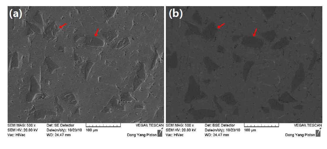 Image of SEM analysis on A356 in-situ 30㎛ SiC Powder