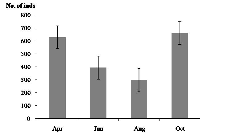 Seasonal mean values of numbers of individuals in the Han River