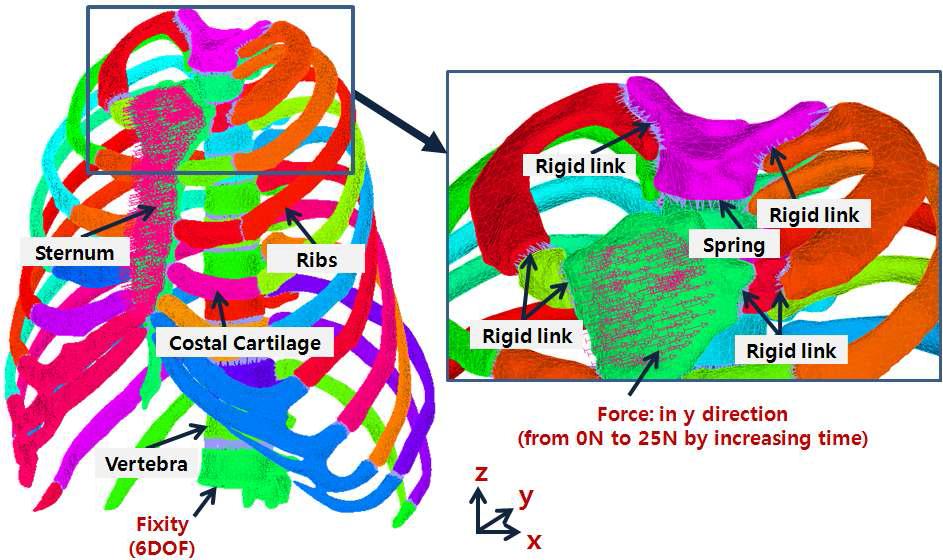 FEM Model’s description on each part, boundary condition and loading condition