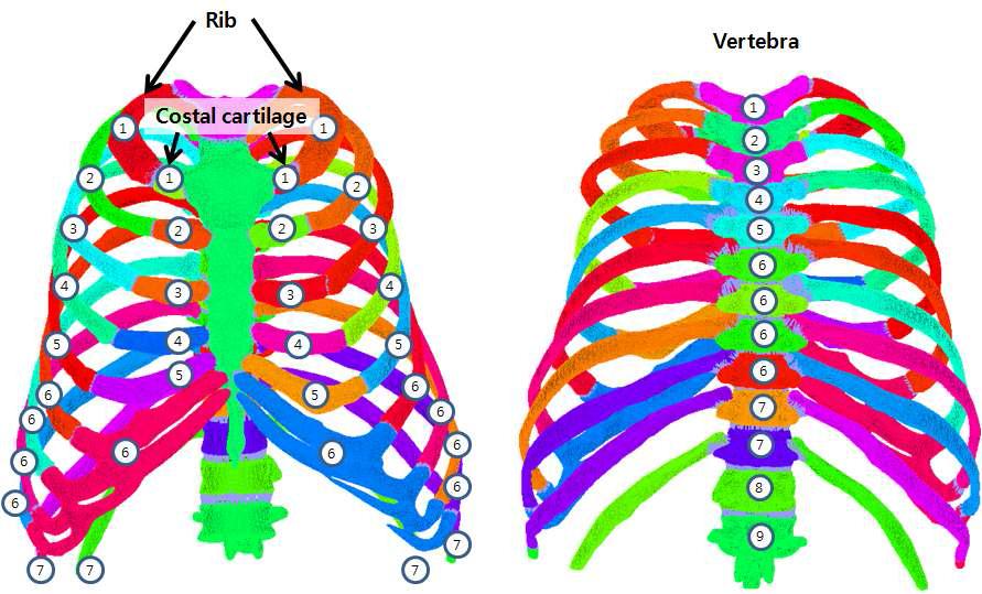 Numbering about each parts