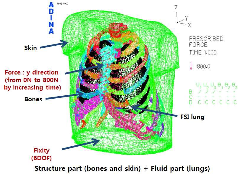 FEM Model’s description on each part, boundary condition and loading condition for FSI analysis