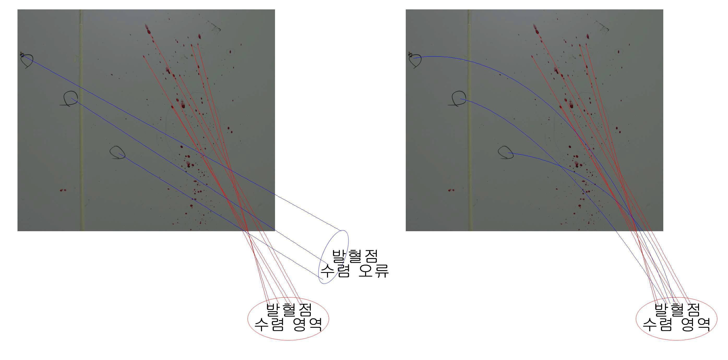 새로운 혈흔패턴분석 연구 방향