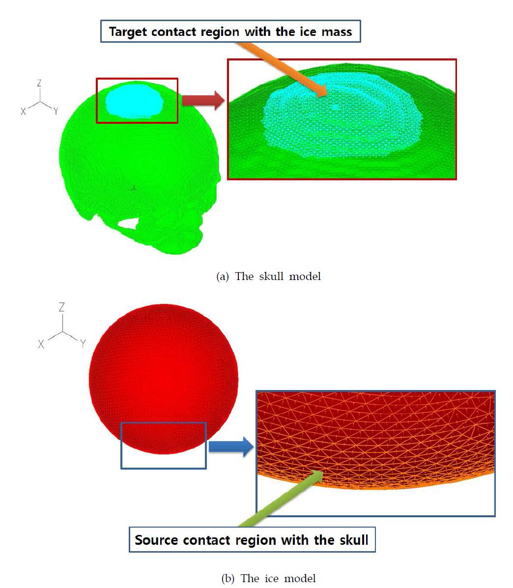 The ADINA mesh model and defined contact region