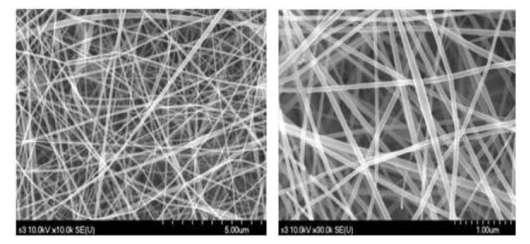 SEM image of 2nd experiment after calcination at 500 ℃ for 1 hour; PVP: 0.15g, EtOH: 3.5 ml, TiP: 0.5g, Act: 1ml, volatage: 4.4 kV/cm, rate: 0.25 m/h, height: 5 cm -