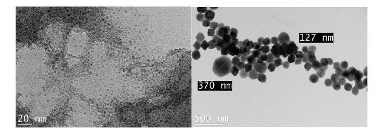 그림 3.1.1 합성된 페리하이드라이트 나노입자(좌) 및 적철석 나노입자의 TEM 사진