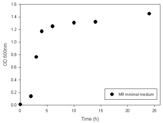 그림 3.1.7 M9 minimal medium 에서 나타나는 Escherichia coli K-12 균주의 생장 특성