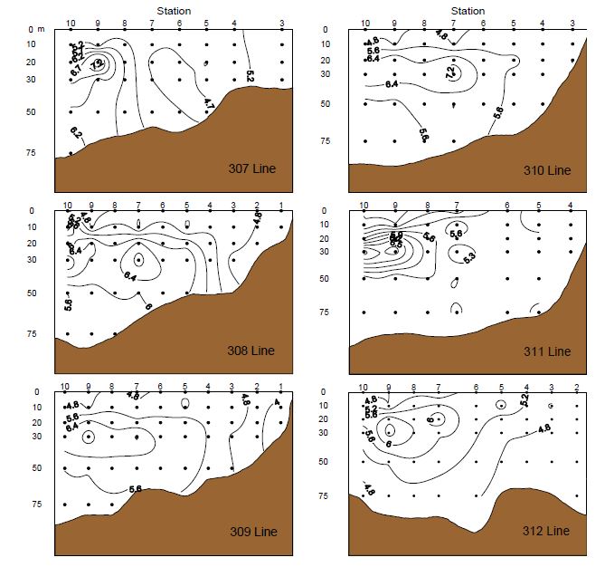 그림 14. 2010년 8월 한국 서해 용존산소의 수직분포.