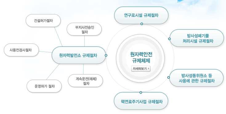 그림 2-1 원자력안전 규제 체계