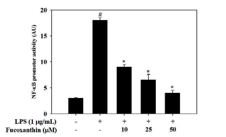 다시마로부터 분리된 fucoxanthin이 NF-κB promoter 활성에 미치는 영향