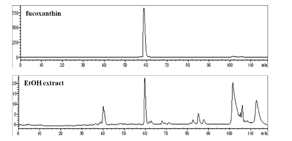 다시마 주정추출물과 fucoxanthin의 HPLC 크로마토그램.