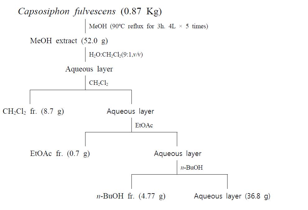 Extraction and fractionation of Capsosiphon fulvescens