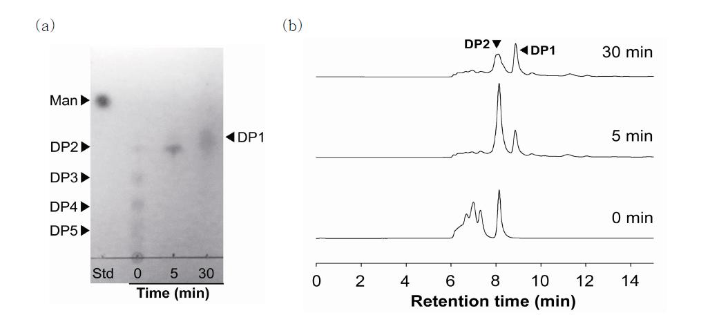 Alg7D와 알긴산의 반응산물인 DP 2, 3, 4, 5를 Alg17C와 반응 후 생성되는 산물의 시간에 따른 (a) TLC 및 (b) HPLC 크로마토그램
